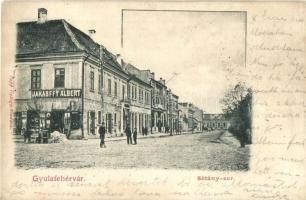 Gyulafehérvár, Alba Iulia; Sétány sor, Jakabffy Albert üzlete. Papp György kiadása / promenade street, shops (r)