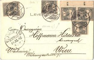 1902 Mezőhegyes, Magyar szürke szarvasmarha. Bélyegzésekkel a hátoldalon