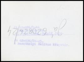 cca 1960 Keszthely, a Helikon Könyvtár, légifotó, MTI-fotó (Járai Rudolf), hátulján feliratozva, 8,5...