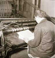 cca 1956 Bélyegriport (tervezés, nyomtatás, gyűjtés), 15 db vintage negatív Kotnyek Antal (1921-1990...