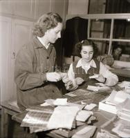 cca 1956 Bélyegriport (tervezés, nyomtatás, gyűjtés), 15 db vintage negatív Kotnyek Antal (1921-1990...