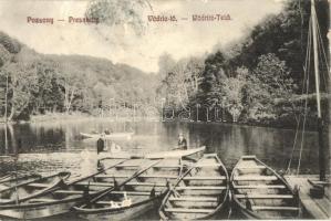 1911 Pozsony, Pressburg, Bratislava; Vödric-tó csónakokkal / Wödritz Teich / Vydrica lake (EK)