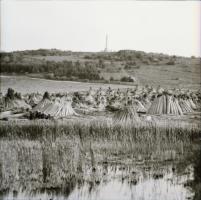 1986 Velencei-tó, kirándulás Pákozdra, szolidan erotikus felvételek, 11 db vintage negatív + 2 db vi...