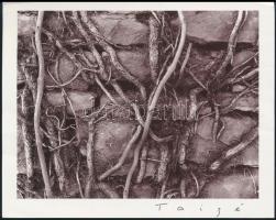 Bálint Zsolt: A kegyelem évei. Szeged, 1997, Agapé Kft. Kiadói papírkötés, jó állapotban.+A szerző s...