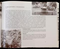 Városkapu. Bodor Ferenc válogatott írásai. Válogatotta és szerk.: Bodor Katalin. Bp., 2001, Magyar I...