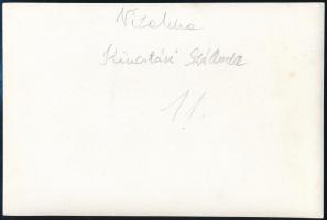 cca 1930 Vízakna, Kincstári szálloda, fotó, hátulján feliratozva, 12×17,5 cm