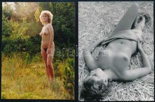 cca 1981 Menesdorfer Lajos (1941-2005) budapesti fotóművész hagyatékából 4 db vintage negatív(x6 cm)...