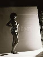 cca 1981 Menesdorfer Lajos (1941-2005) budapesti fotóművész hagyatékából 4 db vintage negatív(x6 cm)...