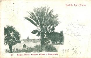 15 db RÉGI olasz városképes lap, köztük Róma, Rapallo, Frienze, vegyes minőségben / 15 pre-1945 Ital...