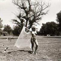 cca 1980 Jóleső expozíciók, szolidan erotikus felvételek, 4 db vintage negatív (6x6 cm) + 4 db vinta...