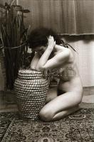 cca 1978 Több modellről készült összeállítás, szolidan erotikus felvételek, 34 db vintage negatív, 2...