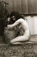 cca 1978 Több modellről készült összeállítás, szolidan erotikus felvételek, 34 db vintage negatív, 2...