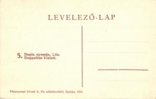 Bártfa, Bardejovské Kúpele, Bardiov; Széchenyi szálloda. Fénynyomat Divald K. Fia műintézetéből 1910...