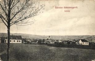 Budapest III. Békásmegyer, Látkép (apró tűnyomok / pinholes)