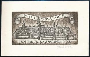 Feszt László, ifj. (1957- ): Kolozsvár, ex libris Szanka Rózsa, rézkarc, papír, jelzett, 6,5×13 cm