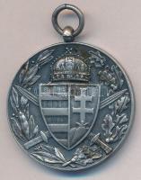 ~1918. "Pro deo et patria 1914-1918" ezüstözött, jelzett Br első világháborús emlékérem fü...