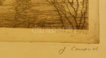 Conrad Gyula (1877-1959): Vajdahunyad vára, rézkarc, papír, jelzett, üvegezett fa keretben, 20,5×15 ...