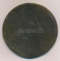 DN "Gróf Széchenyi István" Br plakett, jelzett Berán kópia (71,5mm) T:2-