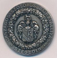 1910. "Országos Szőlő és Borkiállítás Szegeden / 1910. Szept. 25-27" ezüstözött Br emlékérem (40mm) T:2