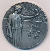 1910. "Országos Szőlő és Borkiállítás Szegeden / 1910. Szept. 25-27" ezüstözött Br emlékér...
