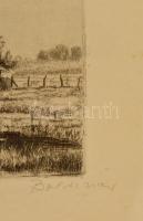 Boldizsár István (1897-1984): Tanya, rézkarc, papír, jelzett, üvegezett fa keretben, 30×39 cm