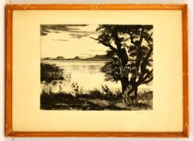 Fehér Ilona (1913-1983): Nagy fa, rézkarc, papír, jelzett, üvegezett fa keretben, 38×29 cm