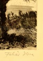 Fehér Ilona (1913-1983): Nagy fa, rézkarc, papír, jelzett, üvegezett fa keretben, 38×29 cm