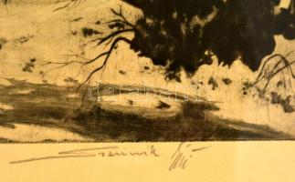 Szennik György (1923-2007): Rábai fűzfák, rézkarc, papír, jelzett, üvegezett fa keretben, 29×49,5 cm