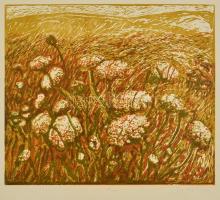 Somlai Vilma (1938-2007): Virágos mező, színes linó, papír, jelzett, számozott (54/100), 30×35 cm