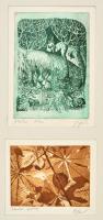 Simonyi Cecília (?- ): A Banshee / Todmorden, 2 db grafika, rézkarc ill. aquatinta, papír, jelzettek, paszpartuban, 20,5×14,5 ill. 13×15,5 cm