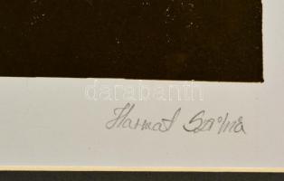 Harmat Szilvia (?- ): Légy, szerigráfia, papír, jelzett, paszpartuban, 35×25 cm