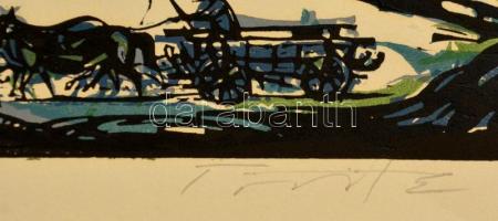 Török Endre (1926-1980): Duna, színes linó, papír, jelzett, számozott (67/100), 30×41 cm