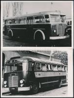 Budapest, Ikarus autóbuszok a 6-os és 9-es buszvonalon, 2 db későbbi előhívás, 10×14 cm