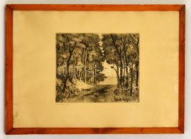 Biai-Föglein István (1905-1974): Erdei út, rézkarc, papír, jelzett, üvegezett fa keretben, 24,5×29,5 cm