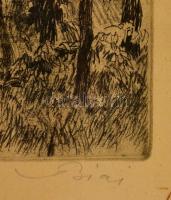 Biai-Föglein István (1905-1974): Erdei út, rézkarc, papír, jelzett, üvegezett fa keretben, 24,5×29,5...