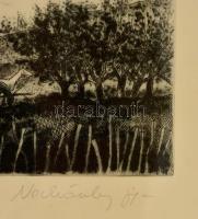 Nechánszky József (1936-): Felhős Balaton, rézkarc, papír, jelzett, számozott (100/100), üvegezett f...