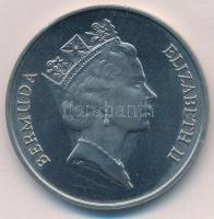 Bermuda 1987. 1$ Cu-Ni "A kereskedelmi repülés 50. évfordulója" T:1-
Bermuda 1987. 1 Doll...