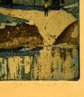 Nyári Lóránt (1928-1982): Vízpart, színezett rézkarc, papír, jelzett, üvegezett fa keretben, 19,5×29...