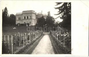 1938 Budapest XII. Béla király út 20. Svábhegy, Fehér Kereszt Egyesület Erdei Gyógyintézete, szanatórium, villa, kert. photo (EK)