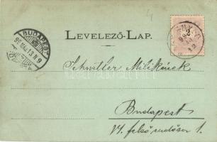 1899 Nagyenyed, Aiud; Sétatéri síremlék / general view, cenotaph, monument. Art Nouveau, floral (apr...