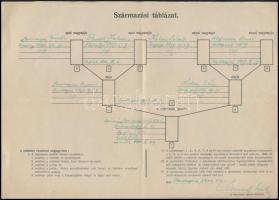 1917-1945 Zsidó személy iratai: születési anyakönyvi kivonat, leszármazási tábla, igazolványok, stb....