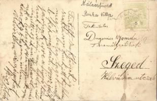 Málnásfürdő, Malnas Bai; Ilonka villa, csoportkép / villa, group photo