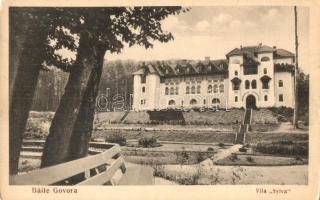 Kb. 100 db rég képeslap, főleg külföldi városképes lapok, motívumlapok, közte sok régi fotó / Cca. 1...