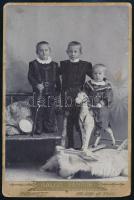 cca 1902 Keményhátú műtermi fotók, 4 db, különböző műtermekből, Salgó Sándor, Sinayberger, 16×11 és ...