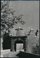 cca 1950-1960 Magyarországi várak, Sümeg, Sárospatak, stb., 5 db, 22×17 cm