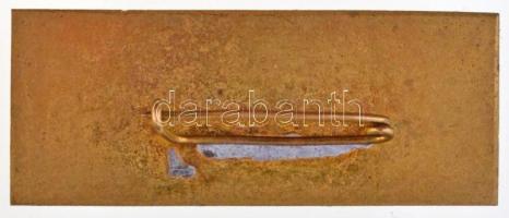 DN "Rendész" zománcozott fém jelvény (40x16mm) T:2