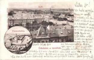 1900 Győr, látkép, Pannonhalmi apátság. Kiadja Berecz Viktor (r)