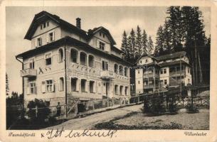 9 db RÉGI erdélyi városképes lap, köztük Tusnádfürdő, Arad, Fenyőháza, Máramarossziget, vegyes állapotban / 9 pre-1945 Transylvanian town-view postcards, mixed condition
