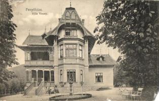 9 db RÉGI erdélyi városképes lap, köztük Tusnádfürdő, Arad, Fenyőháza, Máramarossziget, vegyes állap...