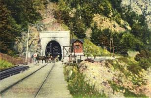 Ruttka, Vrutky; Vág völgyi vasútvonal a Justh-alagúttal, lovaskocsi. Paul Bender kiadása Zürichben / railway tunnel with horse carriage (kicsit ázott sarok / slightly wet corner)